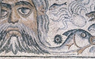 Aspettando il museo di Luni