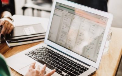 La DL cerca tirocinanti